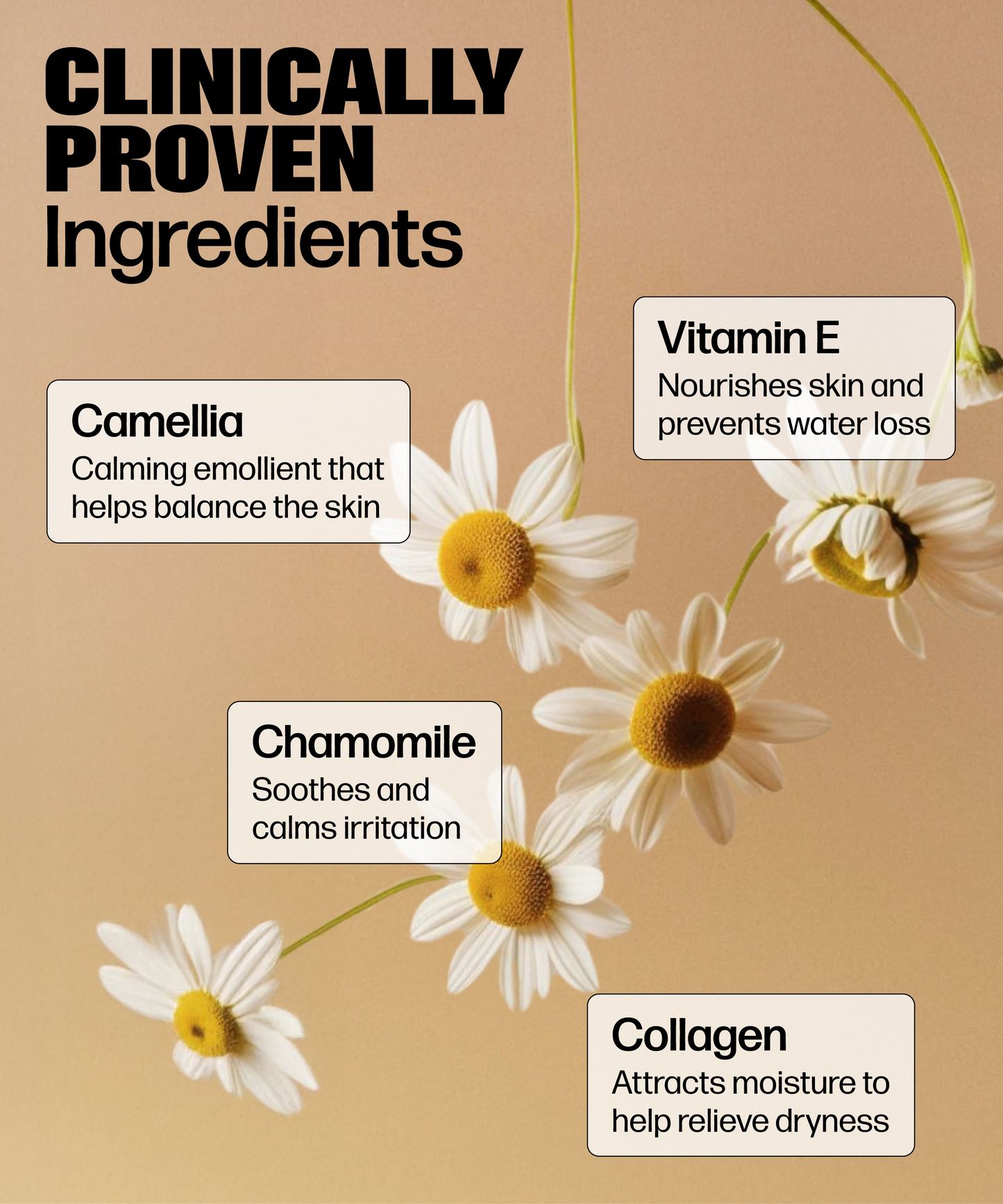 A cluster of chamomile flowers on beige, with text highlighting clinically proven Camellia, Chamomile, Vitamin E & Collagen—ideal for pH-balanced, gentle VMAGIC® Vulva Wash—skincare benefits listed in labeled boxes.
